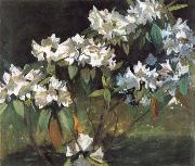 William Stott of Oldham White Rhododendrons Norge oil painting reproduction